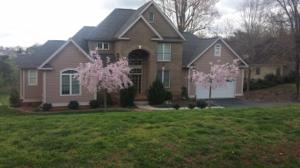 460 Peaks View DR
