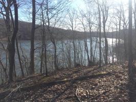 0 Walnut Run DR