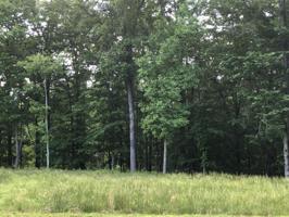 Lot 45 Lakewatch CIR