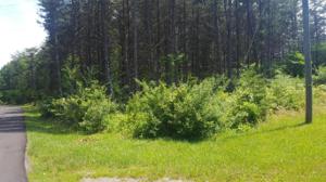 Lot 37 Gap Bridge RD