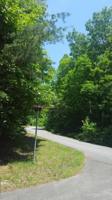 Lot 51 Bearmount CT