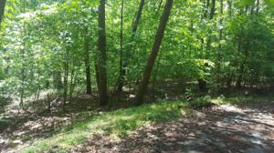 Lot 25 Gap Bridge RD