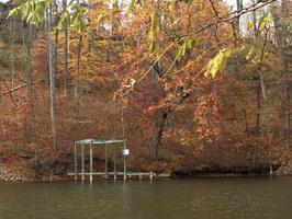 LOT 19 Chestnut Pointe DR