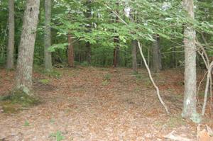 Lot 54 Gap Bridge RD