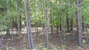 Lot 11 Pointe O Woods DR