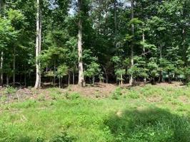 Lot 7 Allendale DR