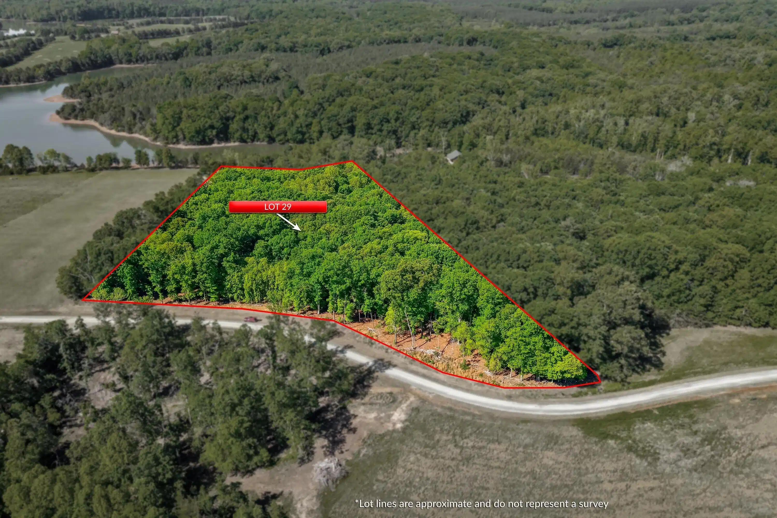 Image 1: 01-LOT 29-1