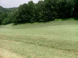 LOT 98 PAR FIVE LN