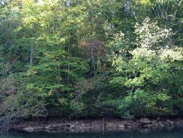 Tract 4-A Blue Lake RD