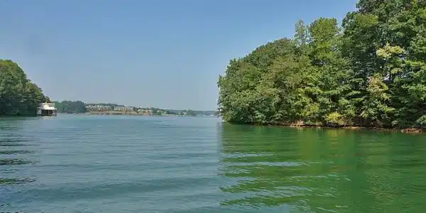 Image 3: Beautiful Lake Lot