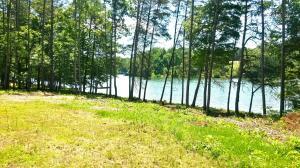 Lot 4 Blue Heron DR