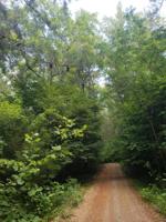Lot #Tract 8 & 9 Holyfield LN