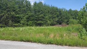Lot 50 Dillon Cabin RD