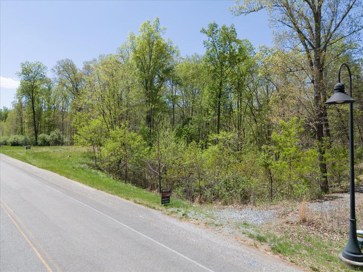 Image 3: 115-Lot 44 Lakewatch Cir 03
