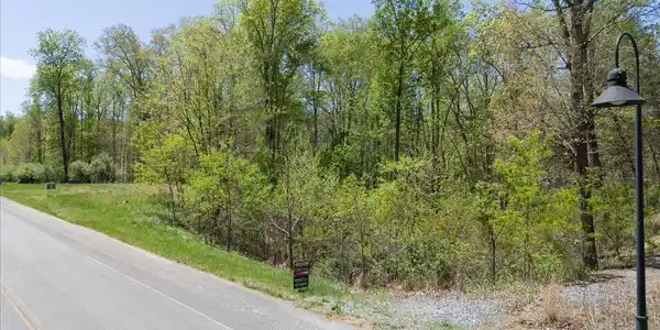 Image 3: 115-Lot 44 Lakewatch Cir 03