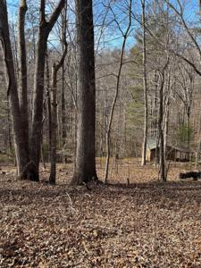 Lot #1 THRASHER LN