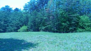 Lot 61 Laura LN