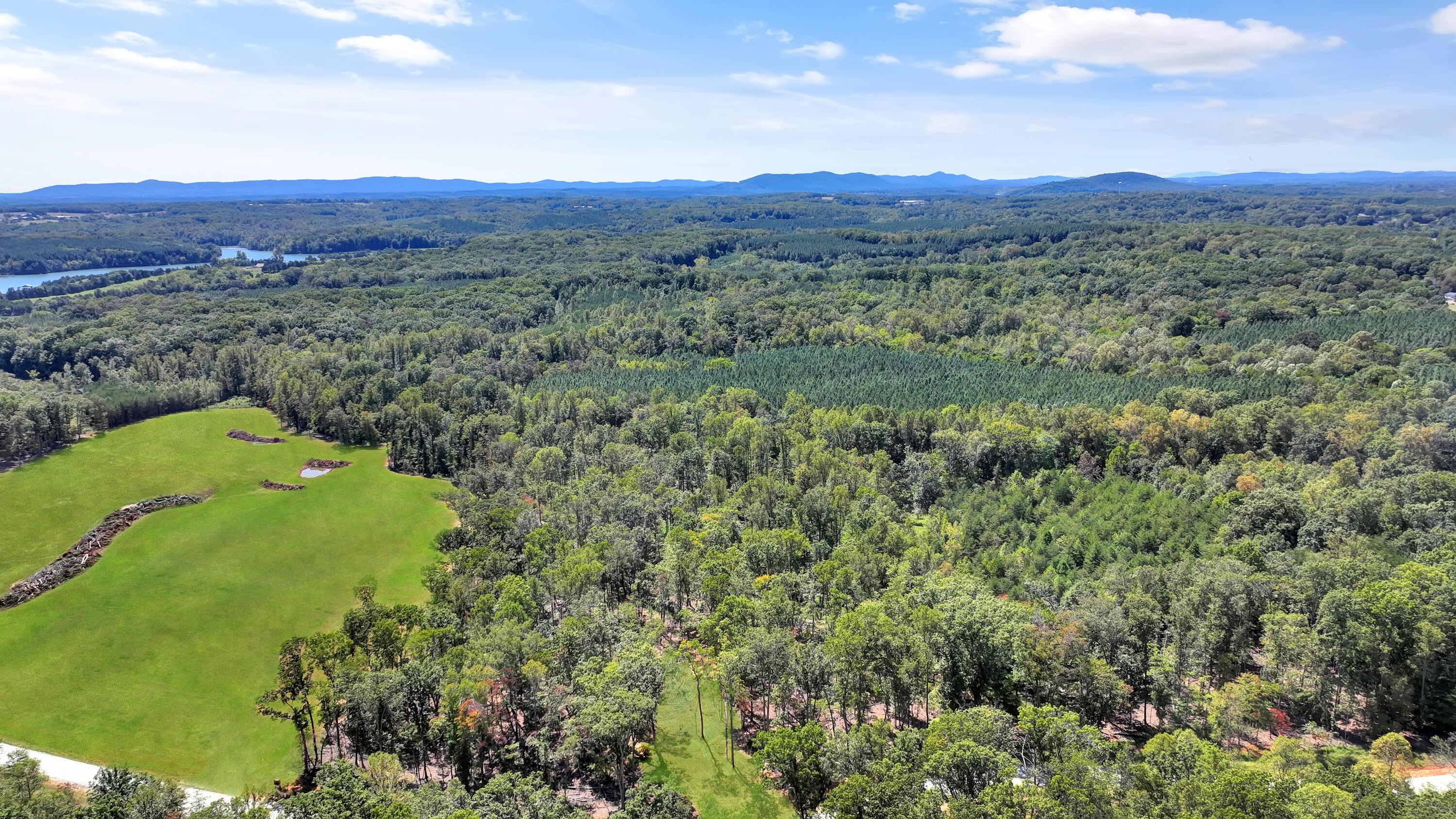 Image 3: Aerial