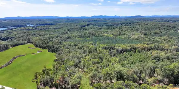 Image 3: Aerial