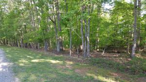 Lot 16 Cedar Bluff LN