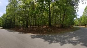Lot 64 Shad Run DR