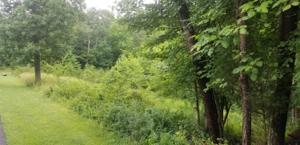Lot #New Lot A Pine Ridge DR