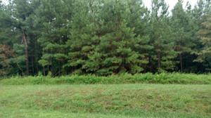 Lot 318 Hidden Cove LN