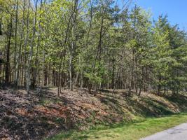 Lot 51 Lake View Pt