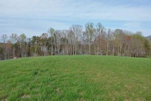 Lot 509 South View CIR