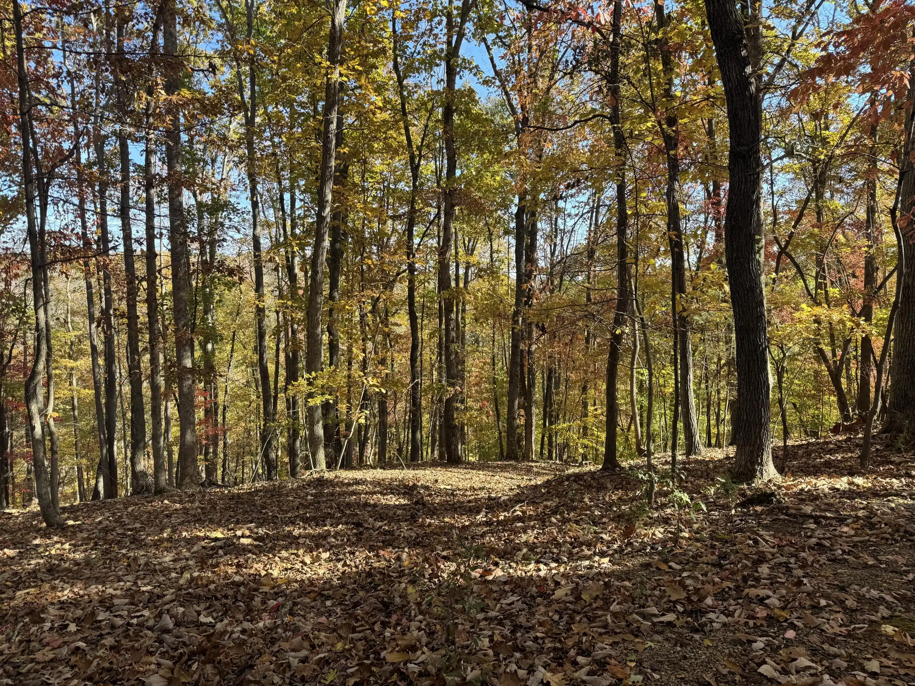 Image 1: Lot 2 Snidow Dr