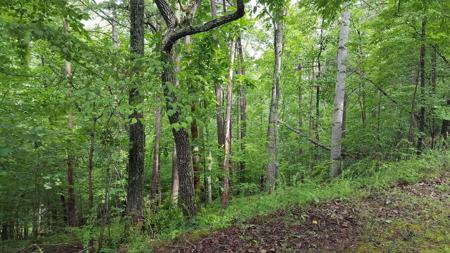 Lot #9 Cedar Bluff LN