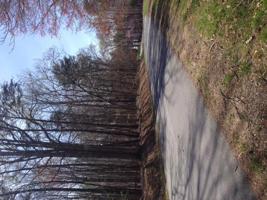 Lot 375 Morgans Mill DR