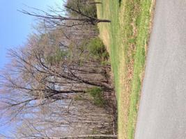 Lot 379 Morgans Mill DR