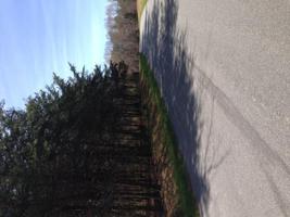 Lot 403 Mountain Shore DR