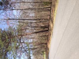 Lot 406 Morgans Mill DR