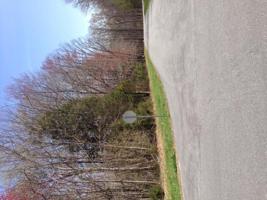 Lot 407 Morgans Mill DR