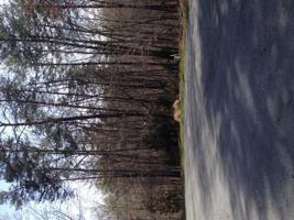 Lot 422 Fairway DR