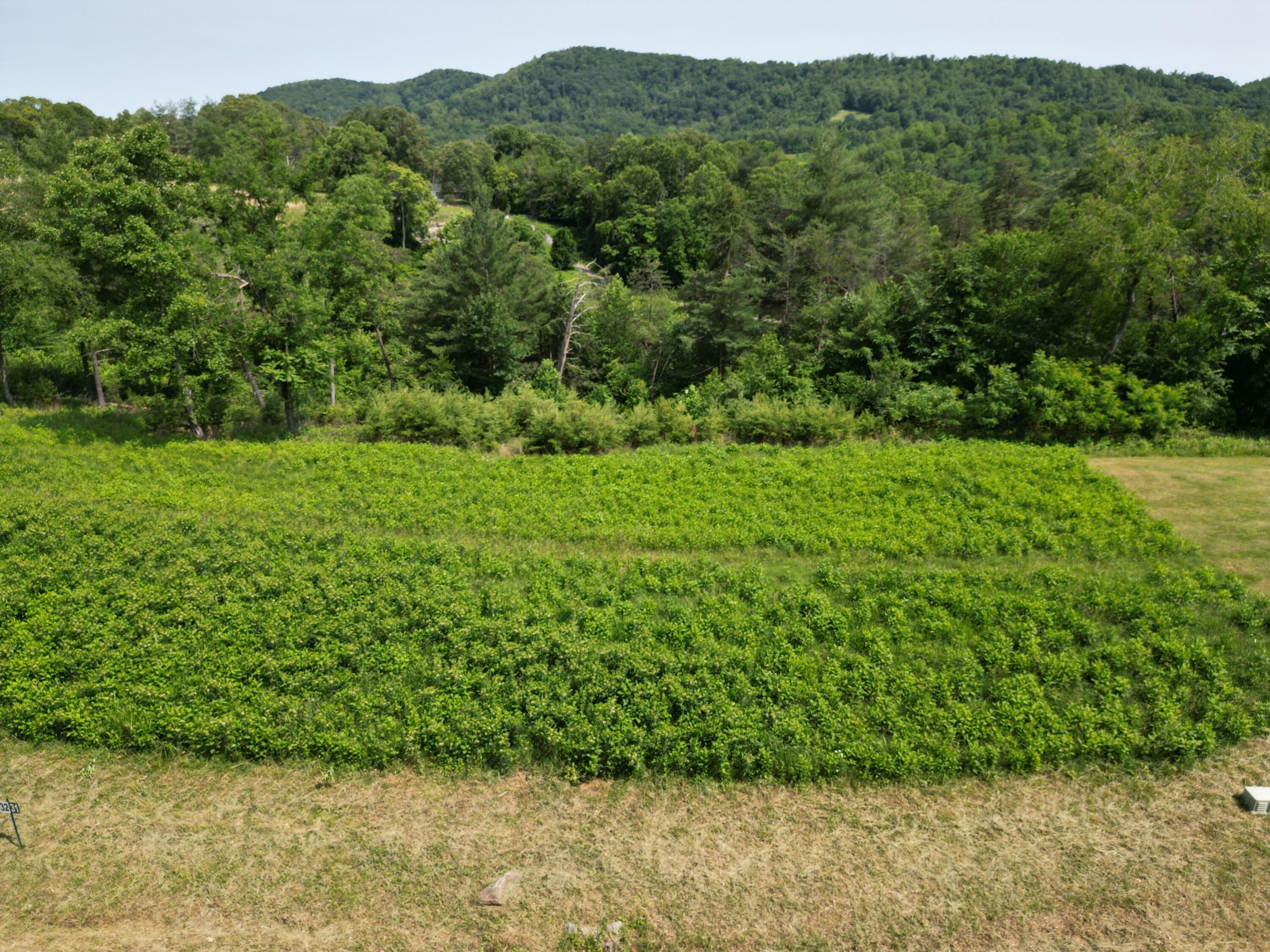 Image 3: DJI_0184