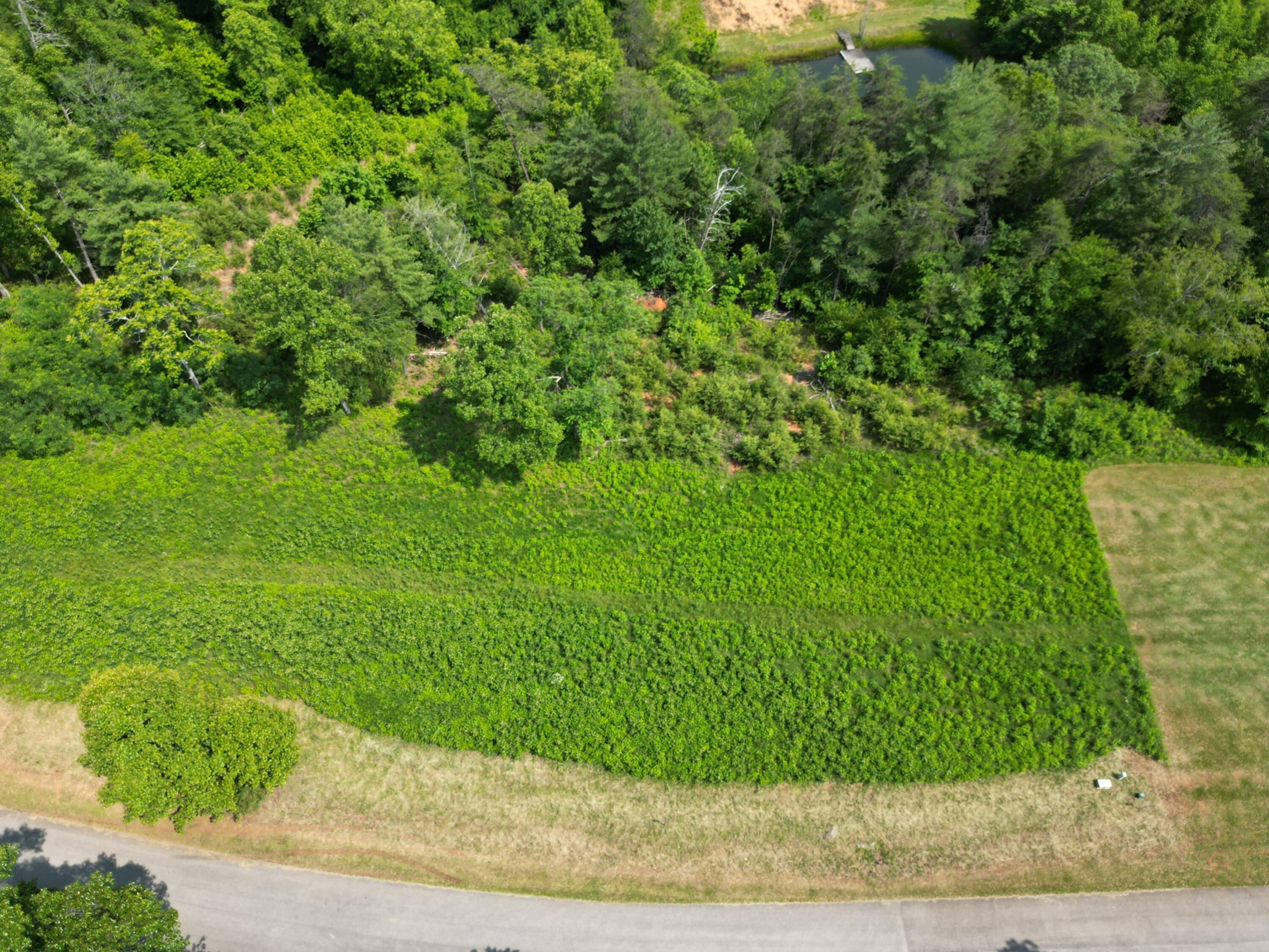 Image 4: DJI_0185
