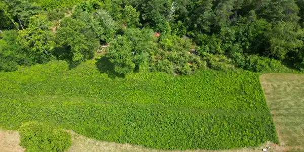 Image 4: DJI_0185