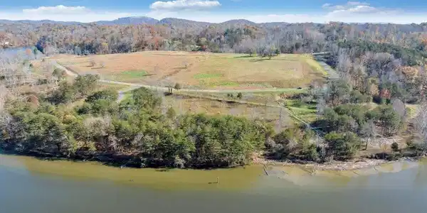 Image 4: lot 3 6