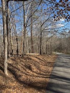 Lot 1 Gap Bridge RD