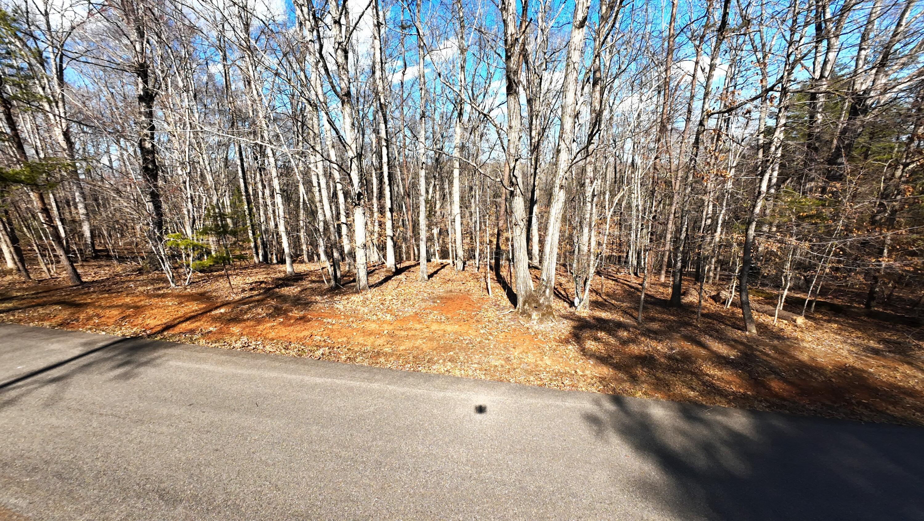 Image 3: DJI_20260310161333_0045_D