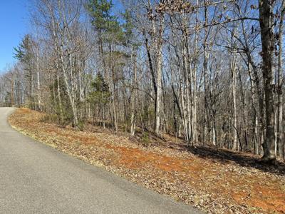 Lot 17 Gap Bridge RD