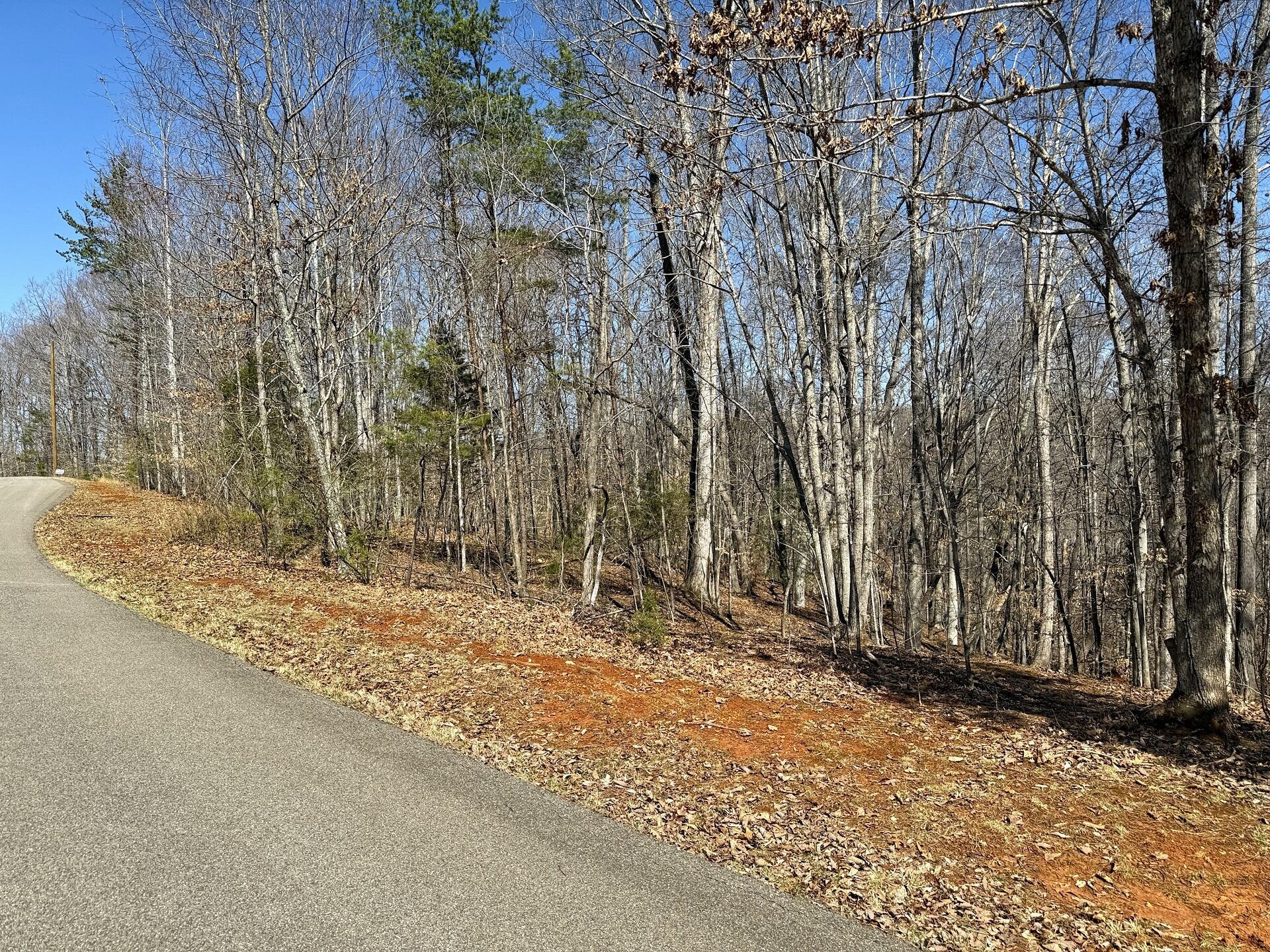 Image 1: Lot 17 Gap Bridge Rd.