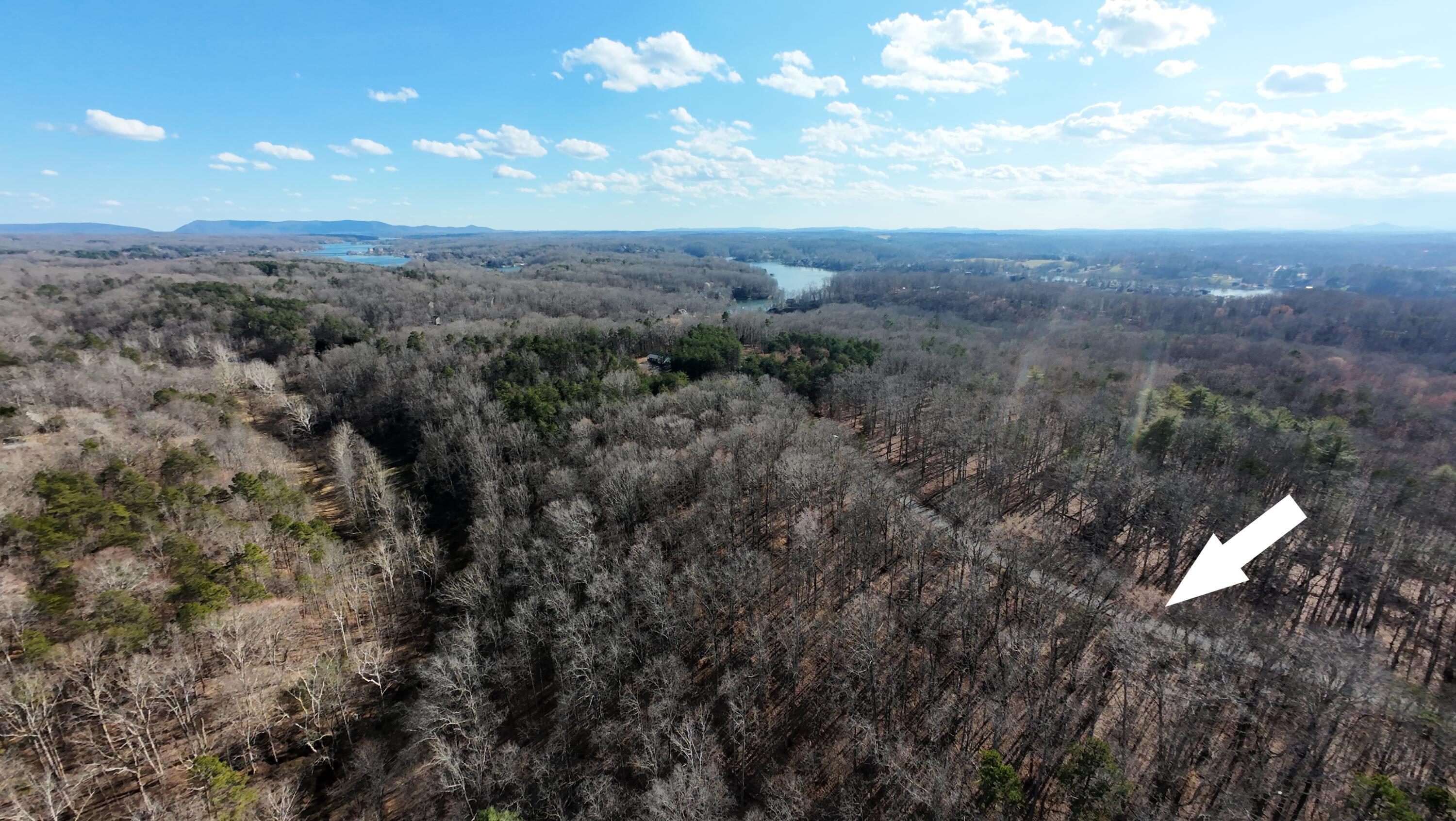 Image 2: DJI_20260310161518_0048_D