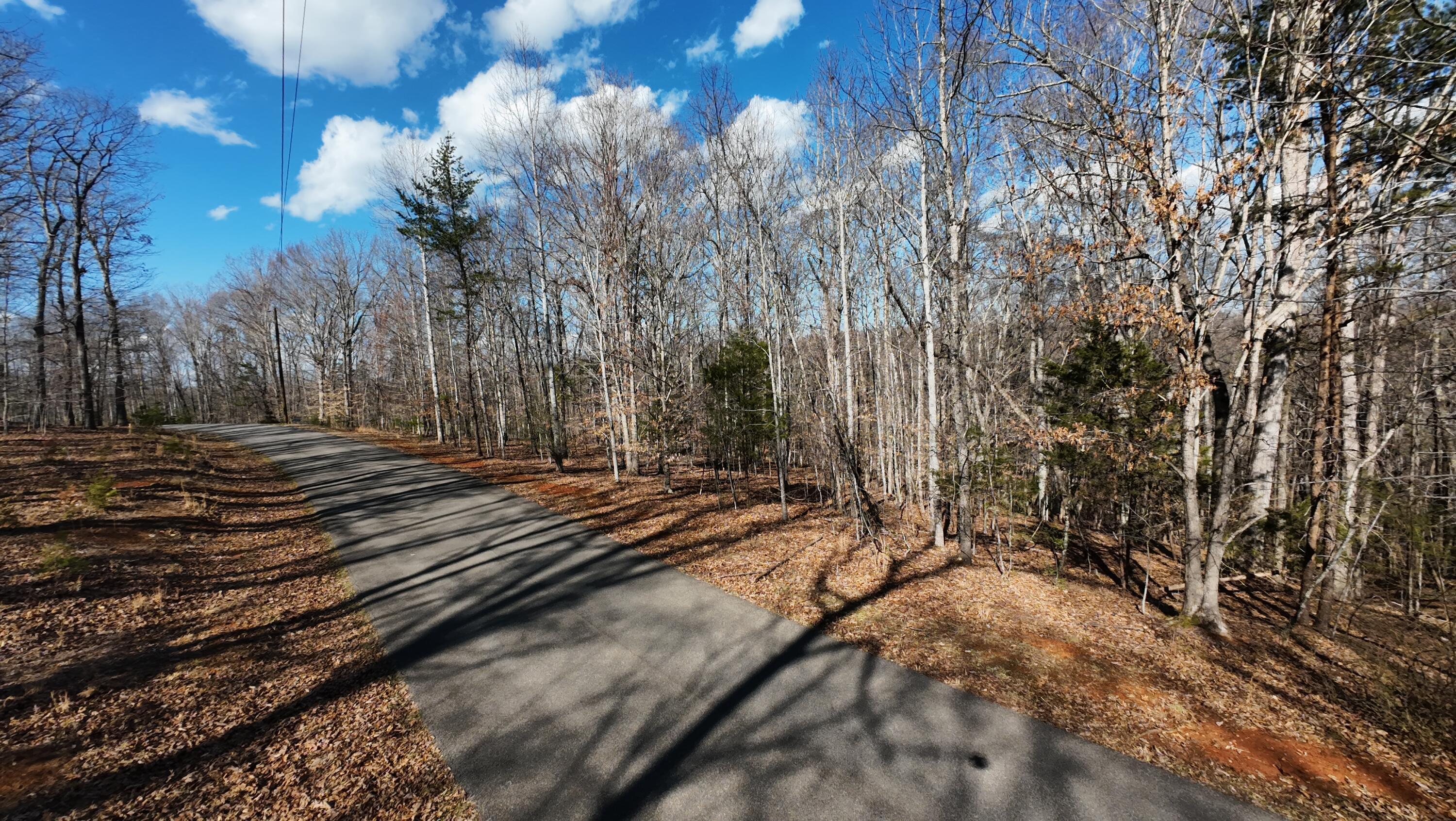 Image 3: DJI_20260310161303_0043_D