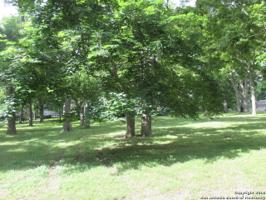 LOT 79 Arroyo