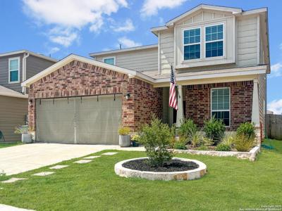 428 Holly Bush