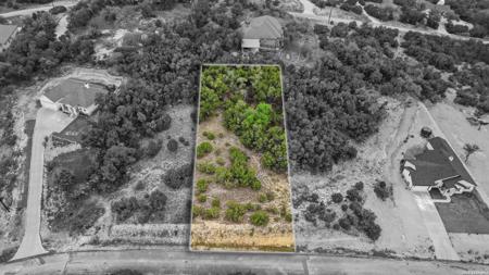 247 Prairie Tea Ln